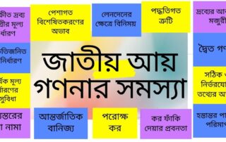 জাতীয় আয় গণনার সমস্যা