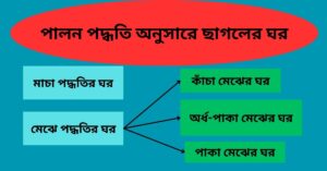 পালন পদ্ধতি অনুসারে ছাগলের ঘর