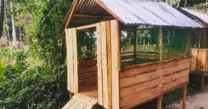 ভেড়ার বাসস্থান