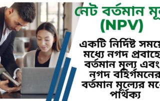 নেট প্রেজেন্ট ভ্যালু