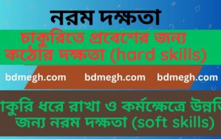 নরম দক্ষতা